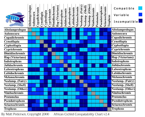 African Cichlid Compatibility Chart