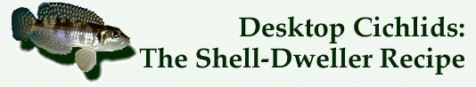 Desktop Cichlids: The Shell-Dweller Recipe