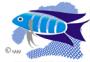 Fish/Net Services